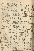 pb19561012_01.jpg