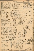 pb19610502_03.jpg