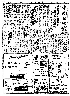 pb19730331_01.jpg