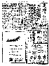 pb19751124_01.jpg