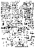 pb19840505_05.jpg