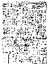 pb19840507_05.jpg