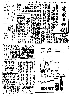 pb19840714_01.jpg
